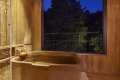 Premium Suite with Private Open-Air Hot Spring Bath