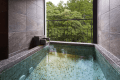 Premium Suite with Private Open-Air Hot Spring Bath Premium Suite with Private Open-Air Hot Spring Bath