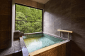 Premium Suite with Private Open-Air Hot Spring Bath Premium Suite with Private Open-Air Hot Spring Bath