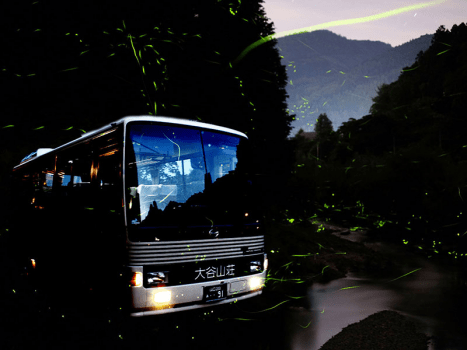 蛍バス：｢ゲンジボタル発生地｣として国の天然記念物に指定されている音信川。蛍火が舞う幻想的な光景を車窓からご覧いただけます。