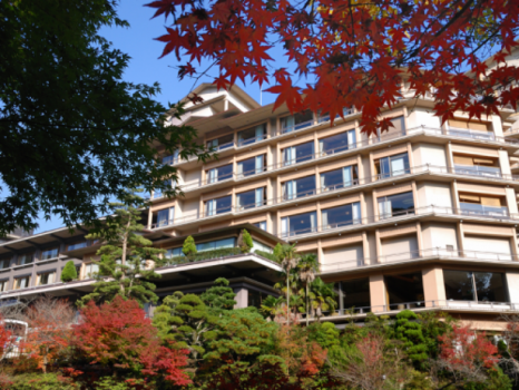 毎年11月頃、大谷山荘は紅葉に包まれます。