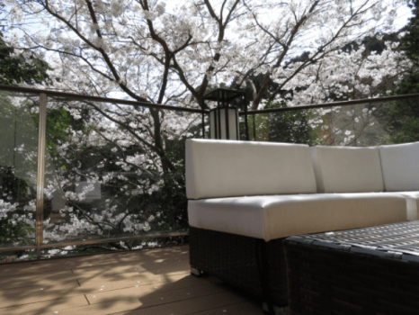 音信川の桜（大谷山荘の川床テラスにて）