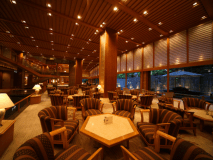 ロビーラウンジ:夜には滝の流れる庭園がライトアップ。時の流れを忘れてゆったりと、お寛ぎくださいませ。