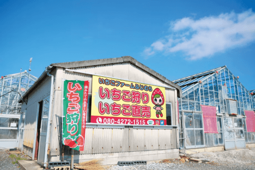 いちご狩り体験付きプラン