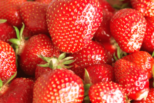 贅沢いちご食べ放題！いちご狩り月プラン新登場