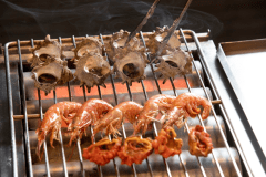 ライブコーナーの一例※季節ごとに変わります。