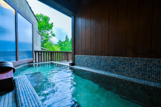 Executive Annex - Seiheki