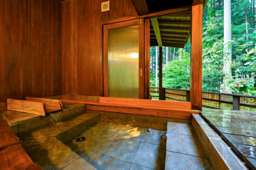 Standard Annex - Ruri