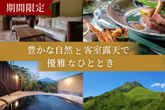 期間限定プラン