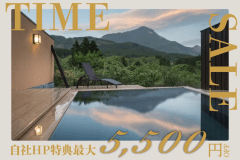 タイムセールプラン