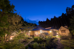 緑豊かな中庭は、四季折々に様々な花や木々が愉しませてくれます