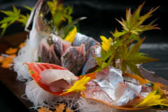 身の締まった関あじは刺身で味わうのがおすすめです。 身の締まった関あじは刺身で味わうのがおすすめです。