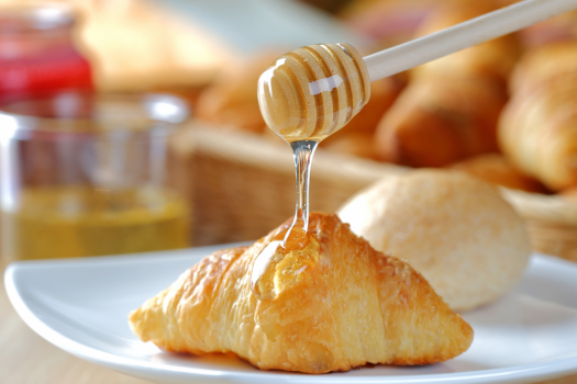 [Solo travel] Relaxing Japanese-Western style room Live×Buffet Hikari no Mori Buffet plan