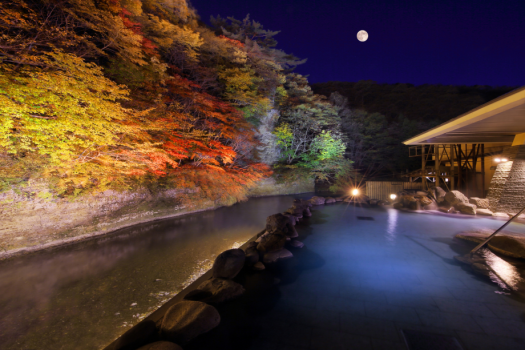 【連泊割】インターネット予約限定 ！Live×Buffet ヒカリノモリ　バイキングプラン