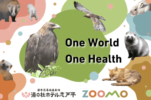 【中学生以下は限定オリジナルステッカープレゼント】ZOOMOチケット付き宿泊プラン 【中学生以下は限定オリジナルステッカープレゼント】ZOOMOチケット付き宿泊プラン