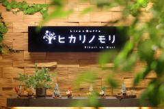 7/23(木)グランドオープン! 新バイキング会場 Live×ビュッフェ「ヒカリノモリ」 7/23(木)グランドオープン! 新バイキング会場 Live×ビュッフェ「ヒカリノモリ」