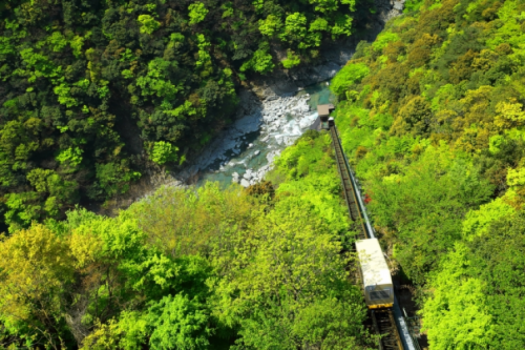 傾斜角42度の山の稜線をケーブルカーでゆっくりと下り、下の露天風呂へ・・・