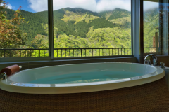 Guest room with view from bath "TENRAI”_302 Guest room with view from bath "TENRAI”_302
