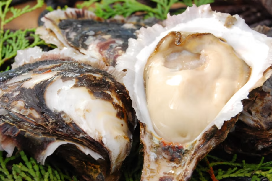 【伊勢志摩の波音　海楼（かいろう）】初夏から夏が旬の“岩牡蠣（イワガキ）”をお付けいたします♪（※画像はイメージです）