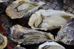 ◎プラン特典◎地元・鳥羽産カキ（1名様につき5個）お付けいたします♪かんてき料理とともに焼き上げてお召し上がりください♪