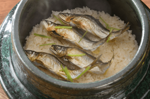 【夏の味覚】鱧と鮎で京都の夏の風物詩を堪能 厳選食材を使った季節の特選料理＜6月1日～8月31日＞
