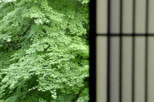 和室10畳（布団）＋掘りごたつ付客室「山の菴（いおり）」全9室
和室10畳に掘りごたつが付いたタイプのお部屋。
お部屋の窓からは、山の景色を望むことができます。
掘りごたつのあるお部屋で、四季の移ろいを感じて、静かに流れる時をお過ごしください。