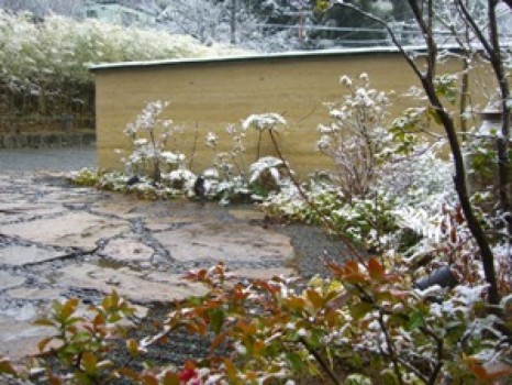 雪が積もり、当菴もすっかり冬景色となりました 雪が積もり、当菴もすっかり冬景色となりました