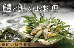 【夏の味覚】鱧と鮎で京都の夏の風物詩を堪能 厳選食材を使った季節の特選料理＜6月1日～8月31日＞