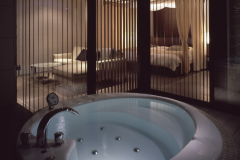 洋室＋岩盤浴
温泉掛流し露天風呂付客室「清遊（せいゆう）」68平米全1室
いつもの日常から離れ、ジャグジーと岩盤浴で自分をととのえる贅沢空間。
洋室の白いお部屋での時間を愉しんで、天蓋に囲まれて穏やかにおやすみください。