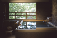 和室10畳＋寝室8畳＋広縁
温泉掛流し露天風呂付客室「早蕨（さわらび）」68平米全1室
温泉掛け流し露天風呂と和の室礼、京都「唐長」京唐紙の和室と寝室。
和の佇まいのゆったり過ごせるお部屋。
山もみじの緑に染まる湯が流れゆく、癒しのひとときをお過ごしください。