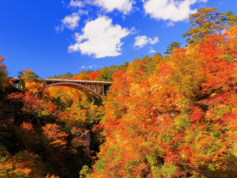 【鳴子峡の紅葉】※イメージ