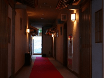 【本館一例】純和風な本館山側タイプは落ち着きのある雰囲気