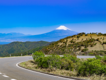 【海鮮会席-高砂】最も贅沢なお料理コース◆年末年始の特別会席プラン