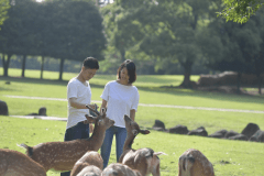奈良公園デート最高！！