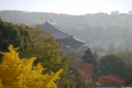 四季折々で色々な雰囲気を感じる東大寺...