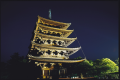 ライトアップされた興福寺の五重塔