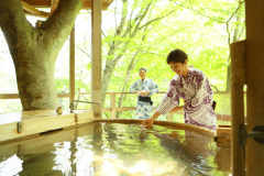 【早割・45日前】【贅沢ご飯プラン】が早期予約でお1人様1000円引きに！