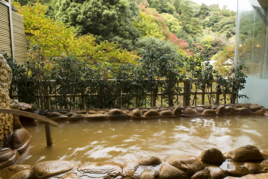 【三賀日限定】年初に絢爛華麗なお正月限定特別会席と、初湯を月光園で～