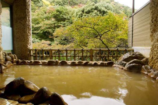 【ゆく年くる年プラン】月光園で過ごす、優雅なお正月