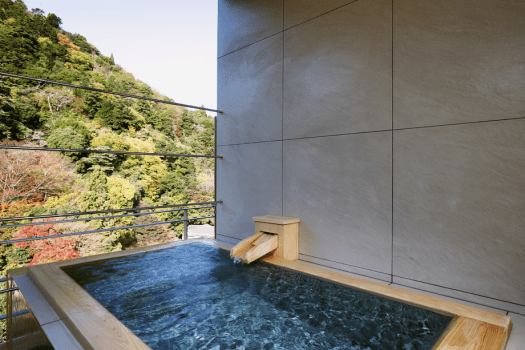 内设&ldquo;天空的露天浴池&rdquo;的皇家套房