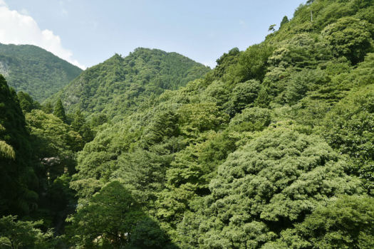 【露天風呂付き客室×リニューアル＆ご愛顧一周年・部屋食】今だけ！夏の露付き“特別価格”プラン
