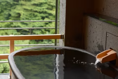【早期割30☆露天風呂付き客室・最上級会席プランが最大14300円引/部屋食】雄大な風景を眺める絶景マウントビュー客室