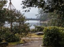 Plan de réservation anticipée avec avantages Plan de réservation anticipée avec avantages