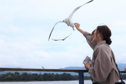対岸までの観光船にて　かもめのエサやり体験を楽しもう♪