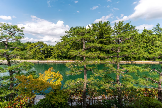 俯瞰天桥立运河的日式房间【雪月花之脊】 SETSUGEKKA no TOU (45 square meters)