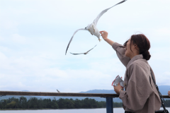 対岸までの観光船にて かもめのエサやり体験を楽しもう♪ 対岸までの観光船にて かもめのエサやり体験を楽しもう♪