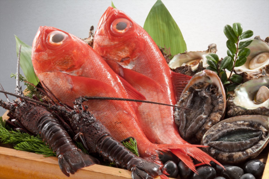 伊豆の新鮮な海鮮素材