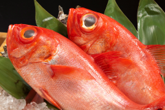 稲取温泉の名物「金目鯛」 稲取温泉の名物「金目鯛」