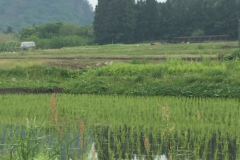 【最長10泊までOK!】静寂の里山での連泊プラン 【最長10泊までOK!】静寂の里山での連泊プラン