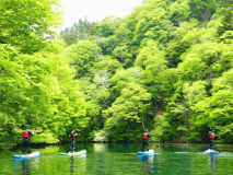 【自然と遊ぼう】ドキドキっ！赤谷湖湖上散歩！スタンドアップパドルボード半日体験付プラン♪